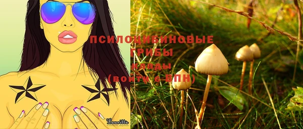 крисы Верхнеуральск