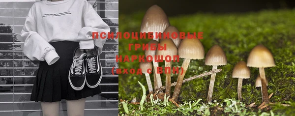 крисы Верхнеуральск